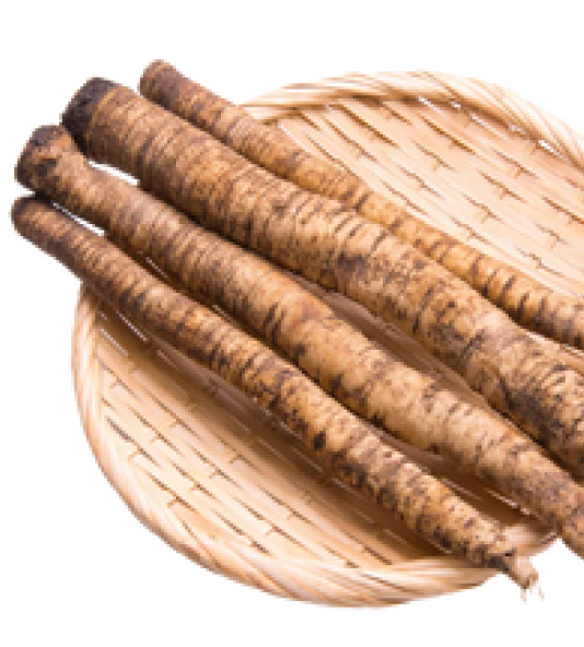 burdock root